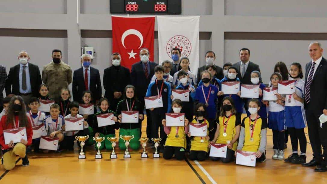 Badminton Şampiyonları 